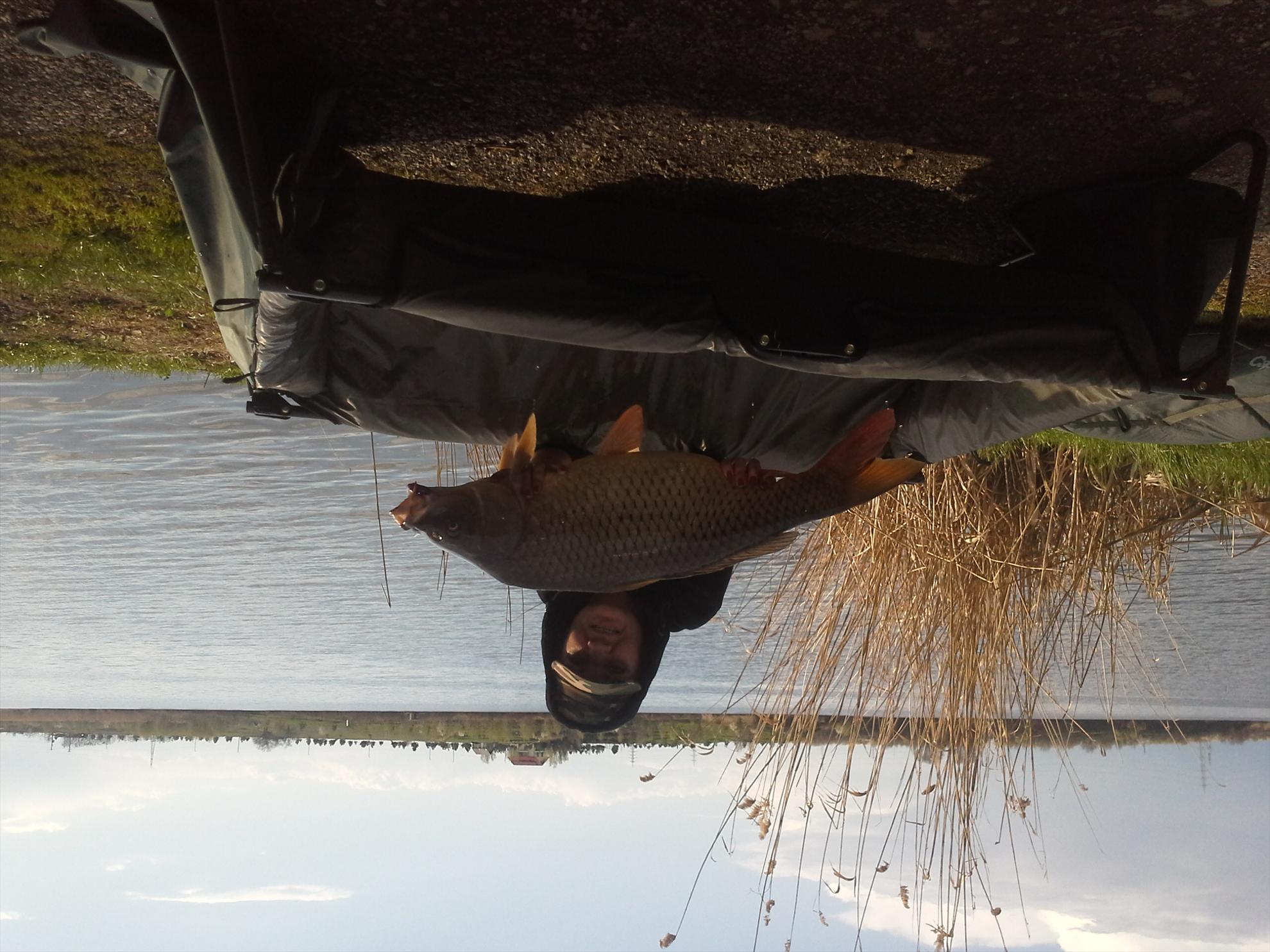 Pescuit la crap - 2013041417354511.jpg